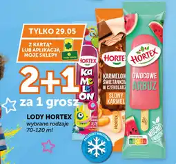 Groszek Hortex Lody oferta