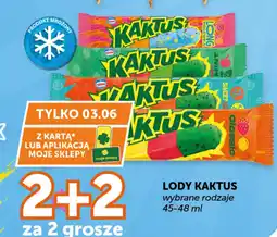 Groszek Nestlé Lody Kaktus oferta