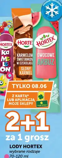 Groszek Hortex Lody oferta