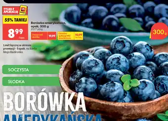 Biedronka Borówka amerykańska oferta