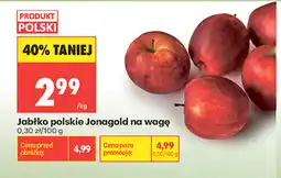 Biedronka Produkt Polski Jabłko polskie Jonagold oferta