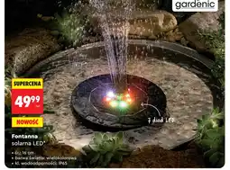 Biedronka Fontanna Gardenic oferta