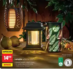 Biedronka Lampka solarna Barwa oferta