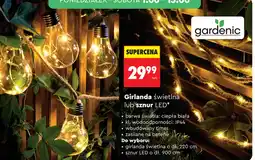 Biedronka Girlanda led Gardenic oferta