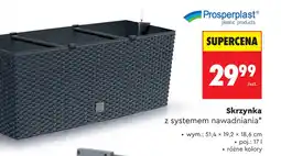Biedronka Skrzynka Prospertplast oferta
