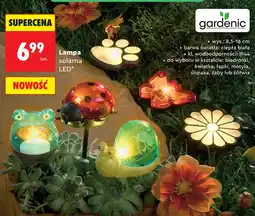Biedronka Lampa solarna Gardenic oferta