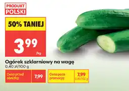 Biedronka Produkt Polski Ogórek szklarniowy oferta