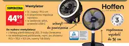 Biedronka Wentylator Hoffen oferta