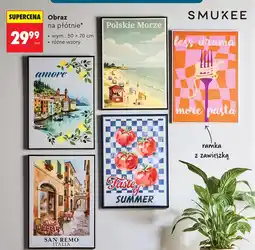 Biedronka Obraz Smukee oferta