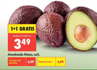 Biedronka Awokado Hass oferta