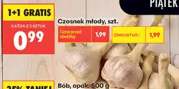 Biedronka Czosnek młody oferta
