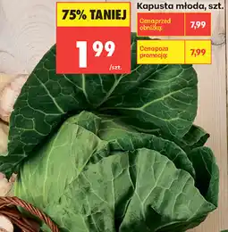Biedronka Kapusta młoda oferta