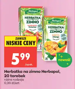 Biedronka Herbapol Herbatka na zimno oferta