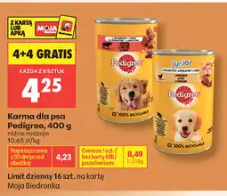 Biedronka Pedigree Karma dla psa oferta