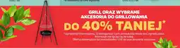 Netto Grill oraz akcesoria do grillowania techliner oferta