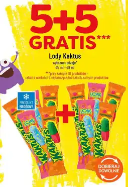 Polomarket Lody Kaktus oferta