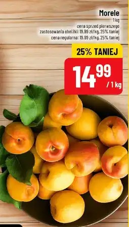 Polomarket Morele oferta