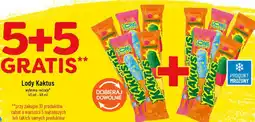 Polomarket Kaktus Lody oferta