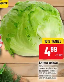 Polomarket Sałata lodowa oferta