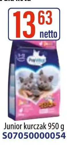 AT PreVital Sucha karma dla kota junior kurczak oferta