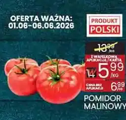 Wafelek Pomidor malinowy oferta