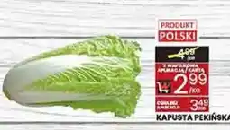 Wafelek Kapusta pekińska oferta