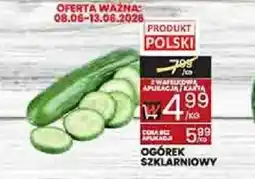 Wafelek Ogórek szklarniowy oferta