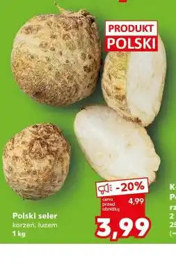 Kaufland Seler korzeń polski luzem oferta