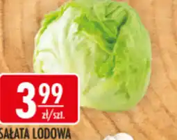 Sklepy Doroty Sałata lodowa oferta