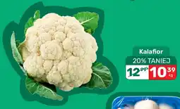 Biedronka Kalafior oferta