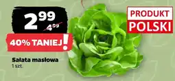 Netto Sałata masłowa oferta