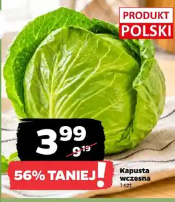 Netto Kapusta wczesna oferta