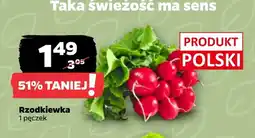 Netto Rzodkiewka oferta