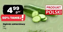 Netto Ogórek szklarniowy oferta