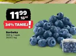 Netto Borówka oferta