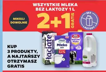 Netto Wszystkie mleka bez laktozy oferta