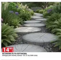 Merkury Market Betonowa płyta deptakowa oferta