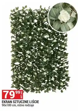 Merkury Market Ekran sztuczne liście oferta