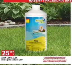Merkury Market Planet Pool Anty Glon Alba oferta