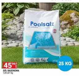 Merkury Market Salinen Austria Sól basenowa oferta