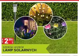 Merkury Market Lampa solarna oferta