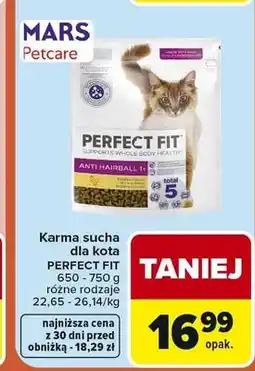 Carrefour Karma sucha dla kota PERFECT FIT Anti Hairball 1+ 650-750g oferta