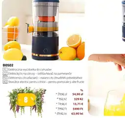 BetterStyle Elektryczna wyciskarka do cytrusów oferta