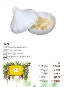 BetterStyle Pojemnik na czosnek oferta
