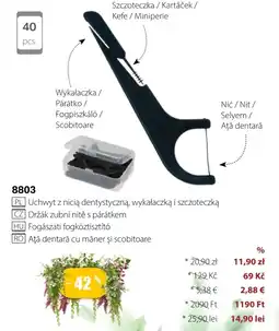 BetterStyle Uchwyt z nicią dentystyczną, wykałaczką i szczoteczką oferta