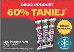 Netto Lody Świderek Koral oferta