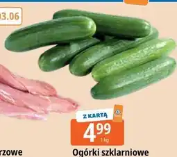 E.Leclerc Ogórki szklarniowe oferta