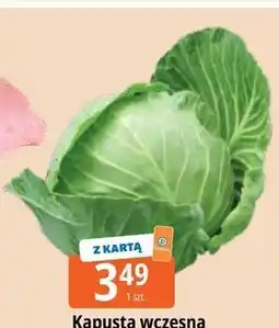 E.Leclerc Kapusta wczesna oferta