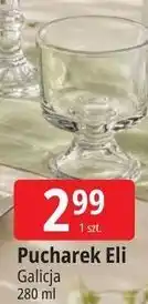 E.Leclerc Galicja Pucharek Eli oferta