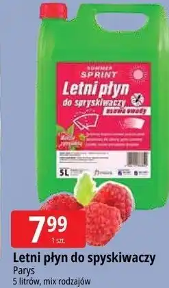 E.Leclerc Parys Letni płyn do spryskiwaczy oferta